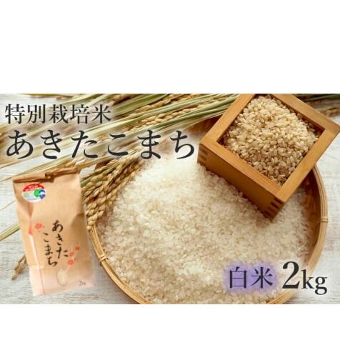 米 あきたこまち 2kg 令和7年産 白米 精米 こめ お米 おこめ 令和7年 特別栽培米 産地直送 ご飯 ごはん 秋田こまち 秋田 秋田県 能代市 特別栽培