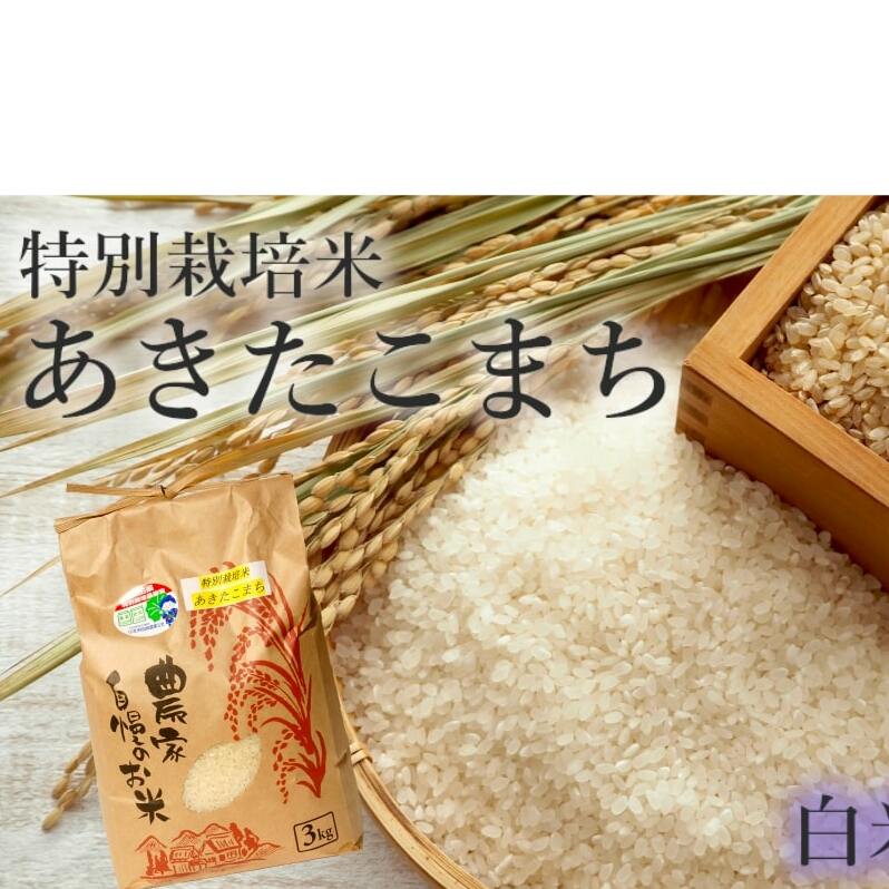 米 あきたこまち 3kg 令和7年産 白米 精米 こめ お米 おこめ 令和7年 特別栽培米 産地直送 ご飯 ごはん 秋田こまち 秋田 秋田県 能代市 特別栽培