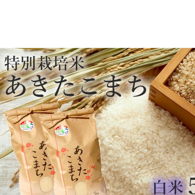 米 あきたこまち 10kg (5kg×2袋) 令和7年産 白米 精米 こめ お米 おこめ 令和7年 特別栽培米 産地直送 ご飯 ごはん 秋田こまち 秋田 秋田県 能代市 特別栽培