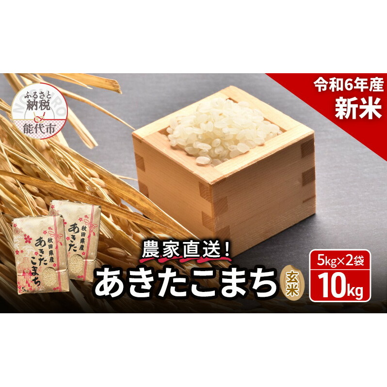 玄米 農家直送!うまい!! 本場のあきたこまち 10kg(5kg×2袋)ご飯 ブランド米 おにぎり 令和6年産 産地直送 おこめ ごはん 秋田県 秋田 能代市 お米 銘柄米 お弁当 和食