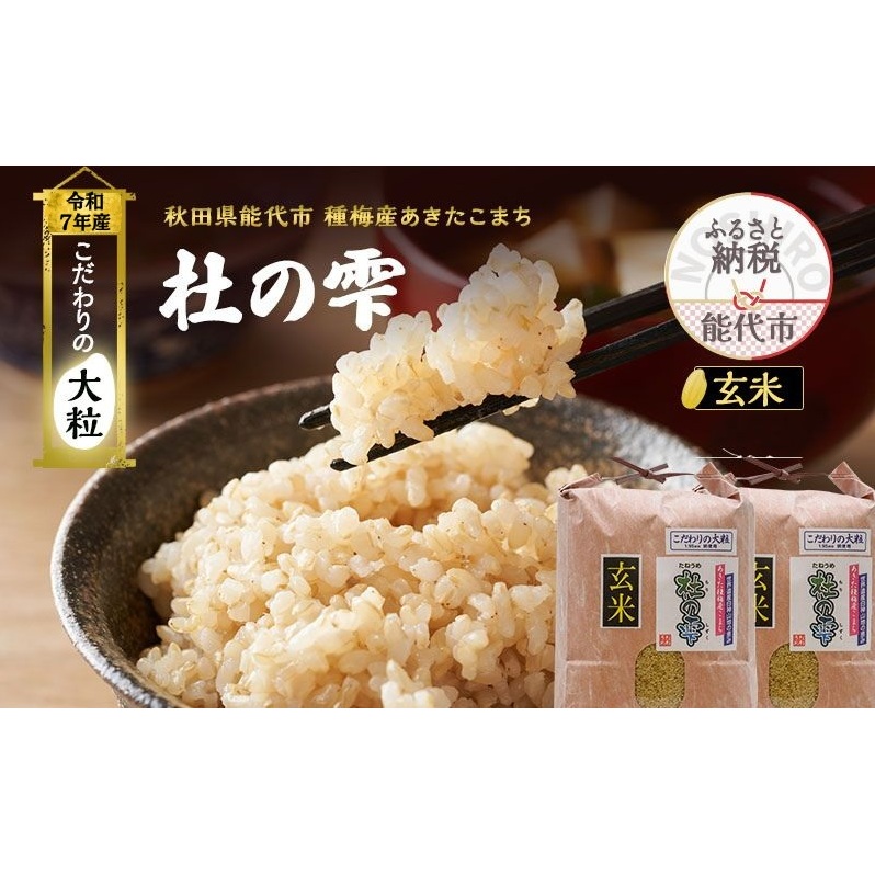 令和7年産 新米 米 お米 《定期便3ヶ月》【玄米】秋田県産 あきたこまち あきた種梅産こまち 杜の雫 こだわりの大粒 20kg(10kg×2袋)×3回 合計60kg