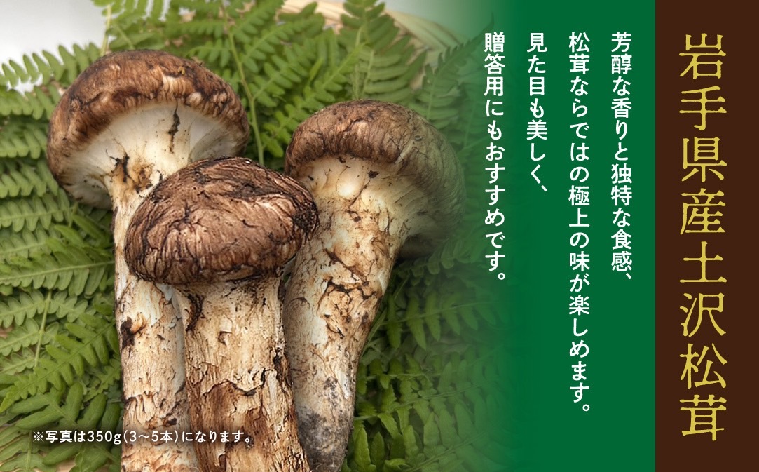 【早期予約】岩手県産 天然 土沢松茸 350g 3~5本 朝獲れ【贈答用】 【2074】