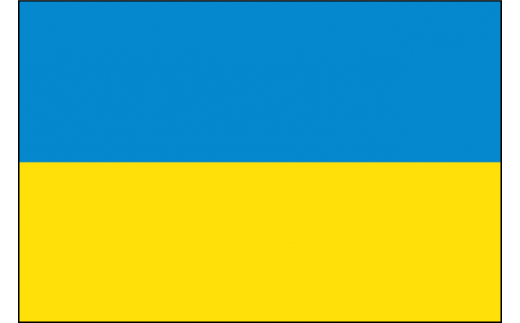 【返礼品なし】ウクライナ人道危機救援（１口2,000円より） 【9999】