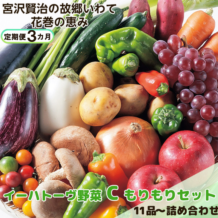 【定期便3ヶ月】イーハトーヴ野菜C もりもりセット 11品~ 詰め合わせ<予約受付2026年4月より発送開始> 【1208】
