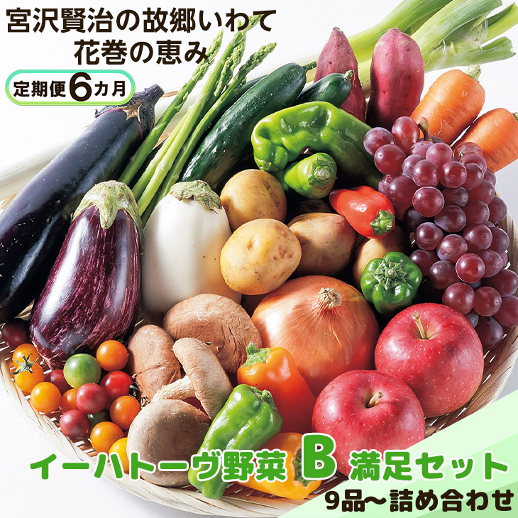 【定期便6ヶ月】イーハトーヴ野菜B 満足セット 9品~ 詰め合わせ<予約受付2026年4月より発送開始> 【1205】