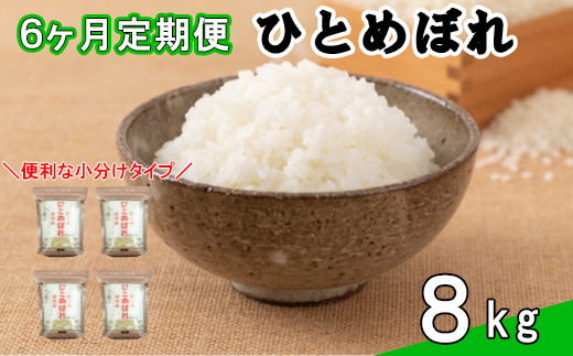 [定期便6カ月間] 令和6年産米 花巻ひとめぼれ8Kg(2Kg×4袋) [1055]