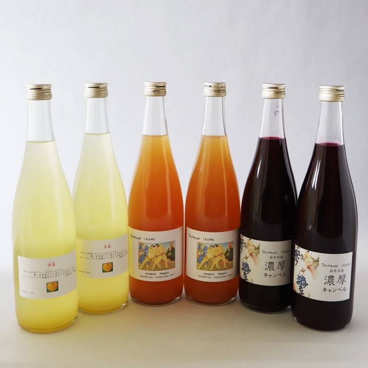 ぶどう農家の果汁100%ストレートジュース(りんご、ぶどう、コラボ) 3種類6本(720ml)セット 【554】