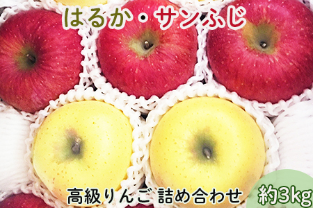 【贈答用】高級りんごはるか・サンふじ詰合せ!花巻産約3kg【1246】