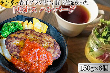サンダートリオスハンバーグ 150g×6個  【1869】