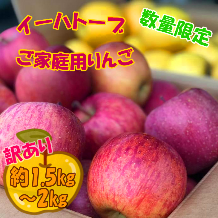 数量限定!【生産者支援品】イーハトーヴご家庭用りんご約1.5~2kg(5~6個) 【2044】