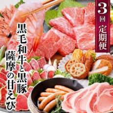 定期便(3回配送)黒毛和牛・黒豚&薩摩の甘エビ DD5-0002【配送不可地域:離島】【1573827】