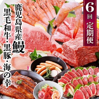 定期便(6回配送)　鹿児島県産うなぎ・黒毛和牛・黒豚・海の幸　HH5-0001【配送不可地域：離島】【1584184】