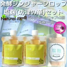 【母の日】発酵ジンジャーシロップ＆塩麹A7-11M【配送不可地域：離島】【1495299】