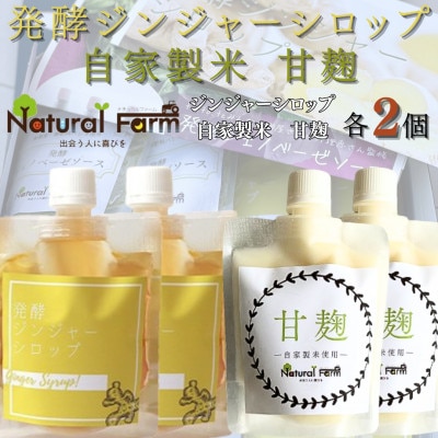 発酵ジンジャーシロップ＆甘麹　各2パックセット B0-12【配送不可地域：離島】【1619453】