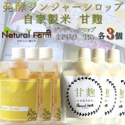 発酵ジンジャーシロップ＆甘麹　各3パックセット B7-3【配送不可地域：離島】【1619473】