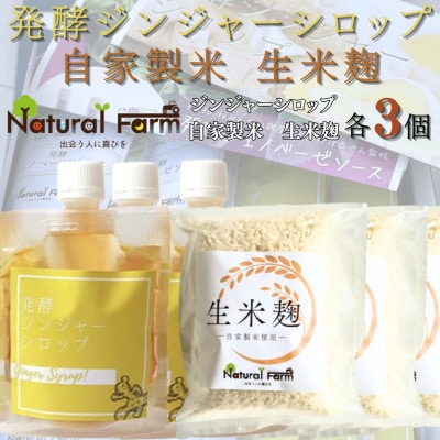 発酵ジンジャーシロップ＆生米麹　各3パックセット B4-5【配送不可地域：離島】【1619483】