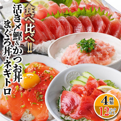 枕崎ぶえん鰹800g ＆ 漬け丼3種9袋(かつお・まぐろ・ネギトロ) A6-140【配送不可地域：離島】【1166317】