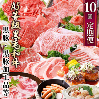 定期便(1年で10回配送)お楽しみ便(A5等級黒毛和牛・黒豚)HH-6004【配送不可地域:離島】【1166752】