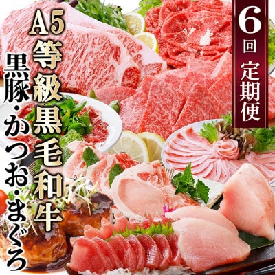 定期便(6回)A5等級黒毛和牛・黒豚・かつお・まぐろ FF-0058【配送不可地域：離島】【1166770】