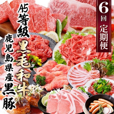 定期便(6回)A5・A4等級黒毛和牛・黒豚etc FF-0061【配送不可地域:離島】【1166779】