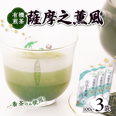一番茶のみ使用!有機栽培緑茶“薩摩之薫風”【100g×3袋】 A3-272【配送不可地域：離島】【1167069】