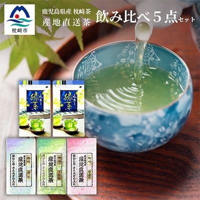 大河内製茶の煎茶飲み比べ 5点セット 特上煎茶・上煎茶・煎茶・水出し緑茶ティーバッグ A8-71【配送不可地域：離島】【1167086】