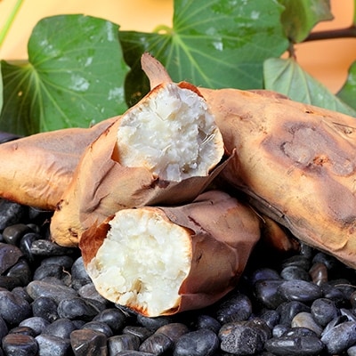 鹿児島さつまいも 【ホワイトスイート】6kg　2025年10月上旬より発送 A8-93【配送不可地域：離島】【1167096】