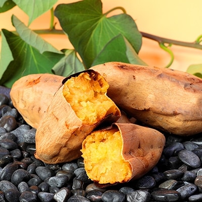 本場鹿児島さつまいも 【白安納】6kg　2025年10月上旬より発送A3-56【配送不可地域：離島】【1167100】