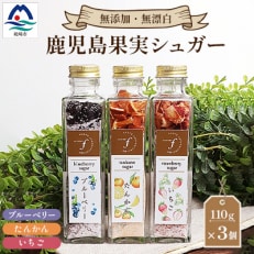 ふぉるて鹿児島果実シュガー fラボ A3-158【配送不可地域：離島】【1167922】