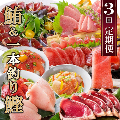定期便(3ケ月)枕崎ふるさと納税　まぐろ＆一本釣りかつお LL-6001【配送不可地域：離島】【1457813】