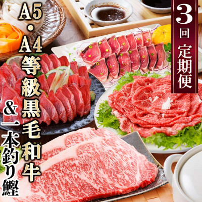 定期便(3回配送)枕崎お楽しみ便(黒毛和牛サーロイン・一本釣りかつおたたき・さしみ) LL-6006【配送不可地域：離島】【1462806】