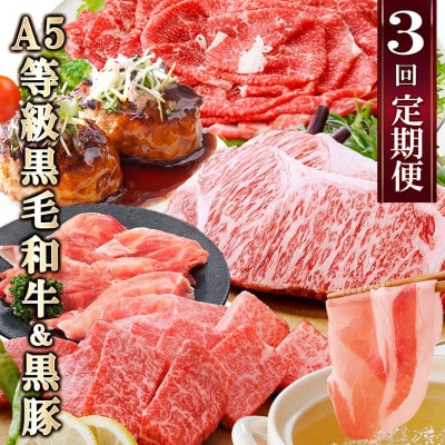 定期便(3回配送)鹿児島産A5等級黒毛和牛&黒豚 EE-6014【配送不可地域:離島】【1471286】