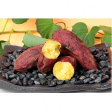 本場鹿児島さつまいも【シルクスイート】4kg　2025年10月より発送Z0-13【配送不可地域：離島】【1487869】