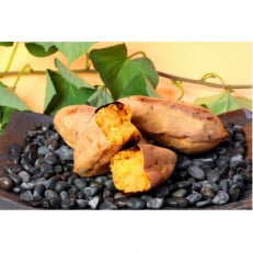 本場鹿児島さつまいも【くりこがね】4kg　2025年10月上旬より発送Z0-16【配送不可地域：離島】【1487873】