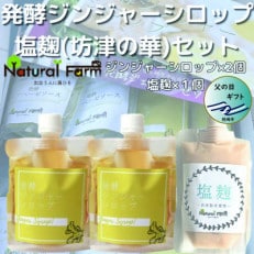 【父の日】発酵ジンジャーシロップ＆塩麹A7-11F【配送不可地域：離島】【1499944】