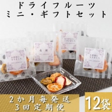 【2ヵ月毎定期便】枕崎産ドライフルーツミニギフト12袋 感謝御礼 お礼 贈り物LL-6043全3回【配送不可地域：離島】【4050458】