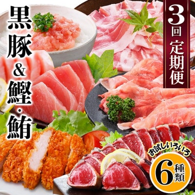 定期便3回配送 黒豚&かつお・まぐろ QQ-0001【配送不可地域:離島】【1512238】