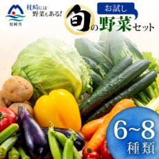 枕崎には野菜もある!!定番・旬のお試し野菜セット　Z0-27【配送不可地域：離島】【1535821】