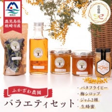 【のし付き・お歳暮】生蜂蜜・梅シロップ・ジャム2種・バタフライピー　バラエティセット A8-5S【配送不可地域：離島】【1551664】