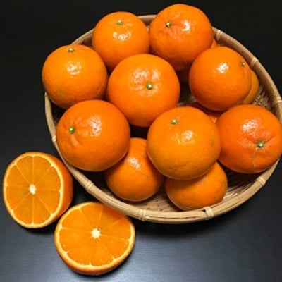 鹿児島県枕崎産 山下農園の濃密こだわりたんかん 4.5Kg　B2-3【配送不可地域：離島】【1167036】