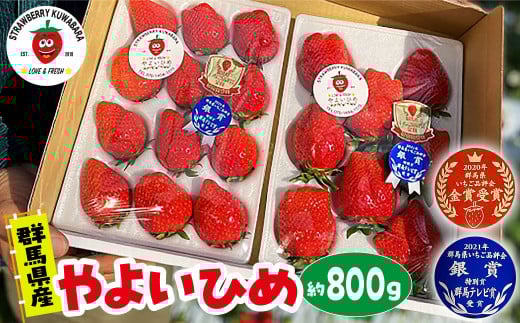 [2026年 先行予約]いちご やよいひめ(贈答用化粧箱入り)約800g