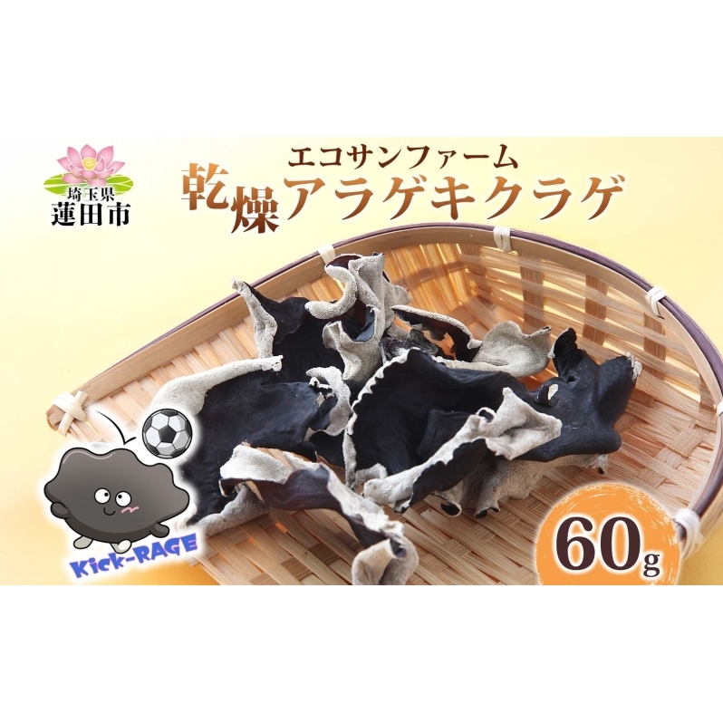 乾燥きくらげ 15g×4 (60g) 小分け 肉厚 乾物 食物繊維 国産 お取り寄せ グルメ こだわり 簡単調理 アラゲキクラゲ きのこ ヘルシー コリコリ 食感 和洋中 送料無料 埼玉県 蓮田市