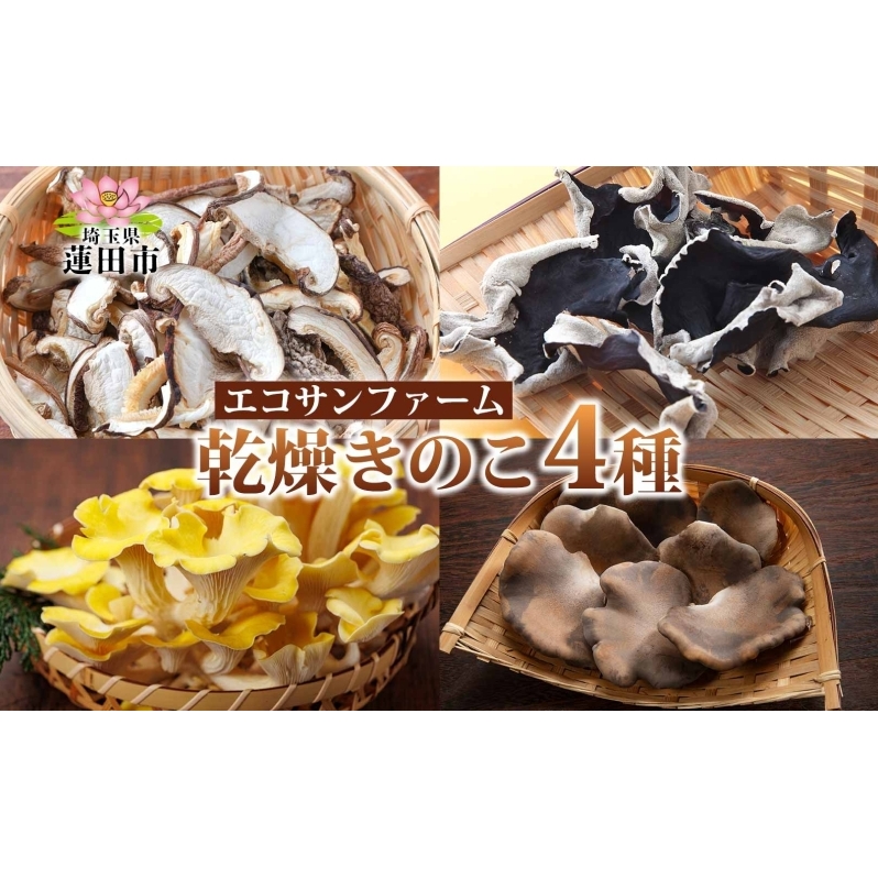 乾燥キノコ4種セット 干ししいたけ 干しきくらげ 干したもぎ茸 干しあわび茸 乾物 食物繊維 国産 お取り寄せ グルメ こだわり 簡単調理 ビタミン きのこ ヘルシー 送料無料 埼玉県 蓮田市