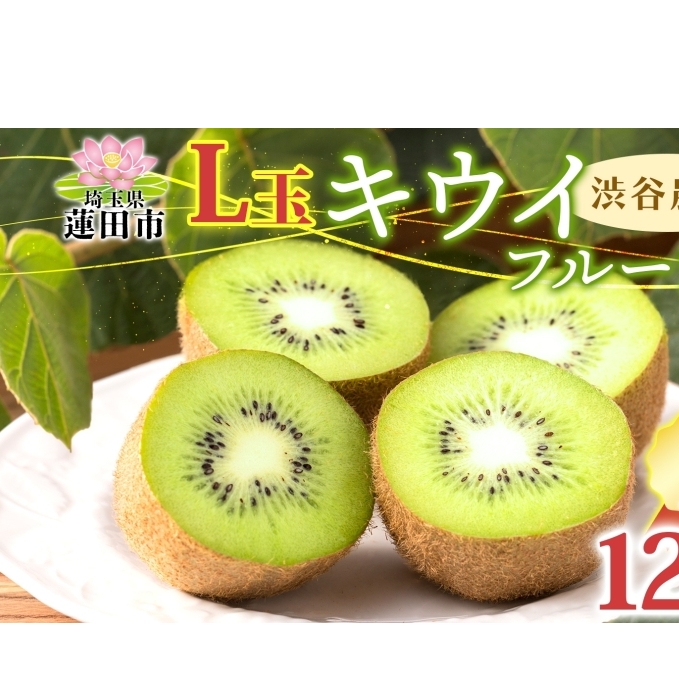 渋谷農園 キウイフルーツ 贈答用(小箱)L玉12個入り キウイ グリーン グリーンキウイ フルーツ 栄養 ビタミンC 食物繊維 酵素 カリウム 葉酸 ビタミンE 低カロリー 果実 果物 お取り寄せ ご当地 送料無料 埼玉県 蓮田市
