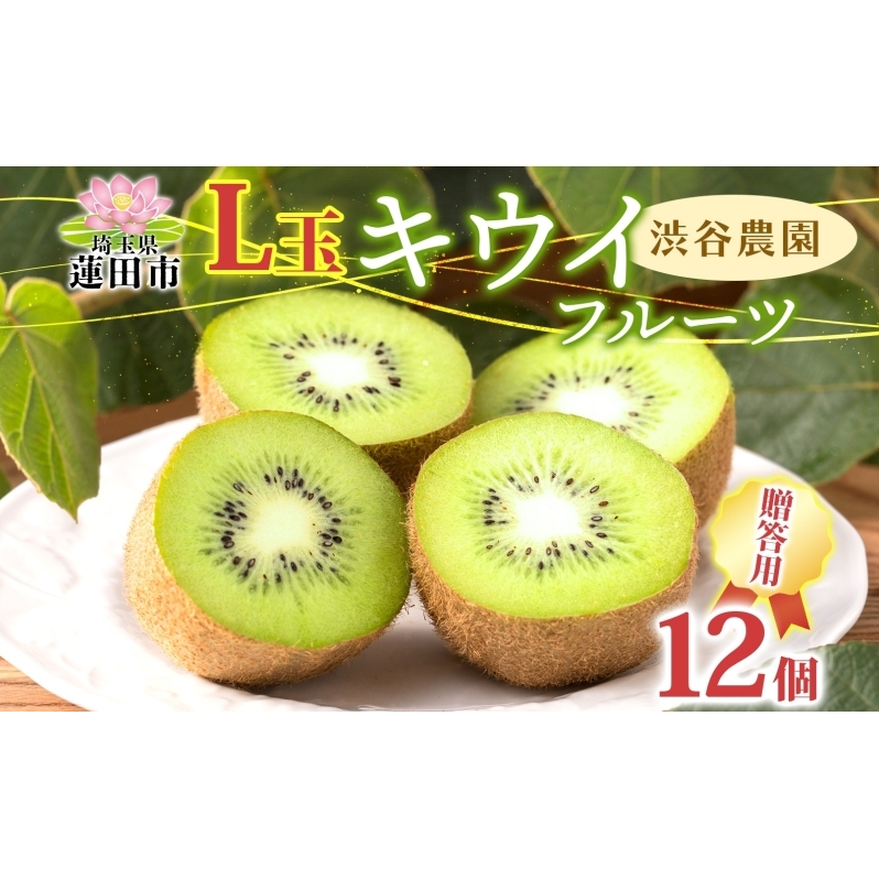 渋谷農園 キウイフルーツ 贈答用(小箱)L玉12個入り キウイ グリーン グリーンキウイ フルーツ 栄養 ビタミンC 食物繊維 酵素 カリウム 葉酸 ビタミンE 低カロリー 果実 果物 お取り寄せ ご当地 送料無料 埼玉県 蓮田市