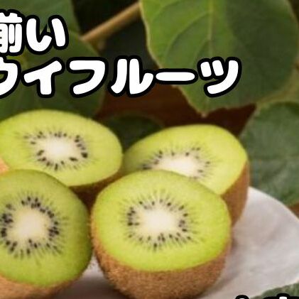 キウイフルーツ (グリーン) 不揃い 4kg以上[ 埼玉県 蓮田産 ] 果物 訳あり 甘さと酸味のバランスの良いキウイ