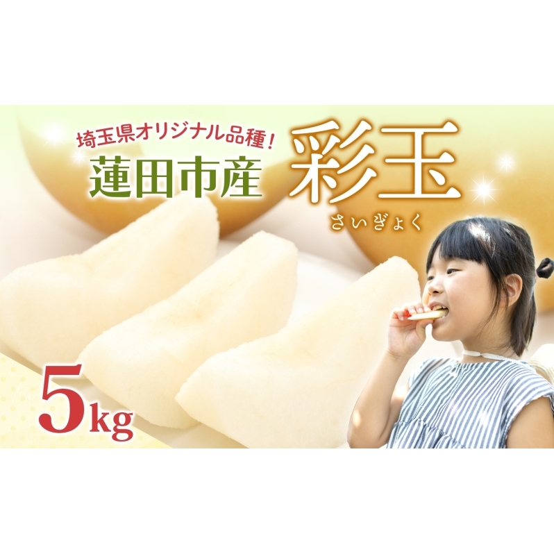 蓮田市産 日本梨 彩玉 5kg フルーツ 果物 ナシ なし 甘い みずみずしい シャリシャリ 食感 果汁 くだもの デザート おやつ お取り寄せ 産地直送 旬 ギフト 贈答用 家庭用 埼玉県 蓮田市