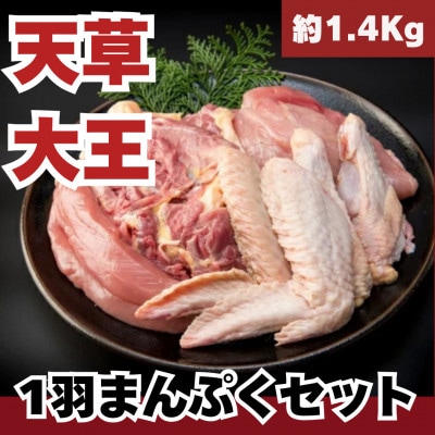 天草大王1羽セット(冷凍・雌)[配送不可地域:離島]