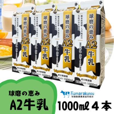 球磨の恵みA2牛乳 1000ml 4本(水上村)[配送不可地域:離島]