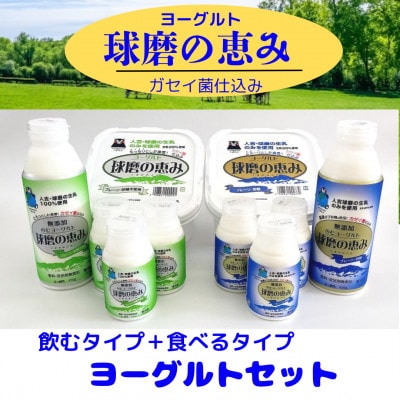 とろーり食感がおいしい濃厚タイプ 球磨の恵ヨーグルト のむ&食べるセット[配送不可地域:離島]